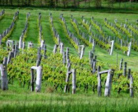 Sienna Estate Winery - Accommodation Noosa 0