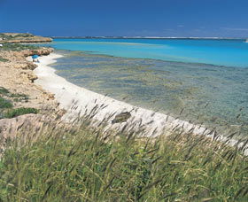 Coral Bay Walk Way - Accommodation Noosa 0