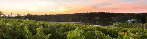 Aravina Estate - Accommodation Noosa 0