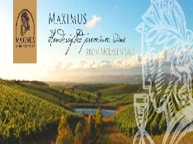 Maximus Wines Australia - Accommodation Noosa 0