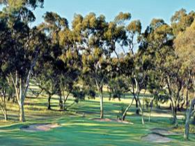 Tanunda Pines Golf Club - Accommodation Noosa 0
