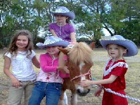 Amberainbow Pony Rides - Accommodation Noosa 0