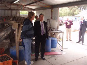 Southern Yorke Oysters - Accommodation Noosa 0