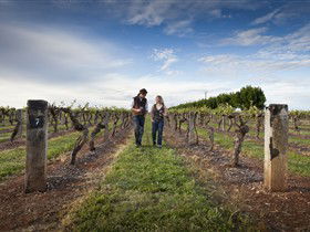 Coonawarra Wineries Walking Trail - Accommodation Noosa 0