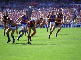 AAMI Stadium Tours - Accommodation Noosa 0