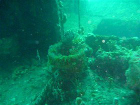 Wallaroo Scuba Club - Accommodation Noosa 0