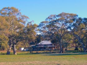 Old Wilpena Station - Accommodation Noosa 0