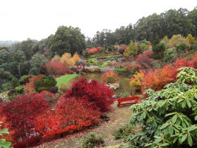 Emu Valley Rhododendron Garden - Accommodation Noosa 0