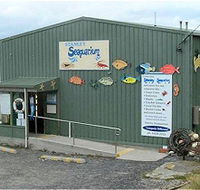 Stanley Seaquarium - Accommodation Noosa