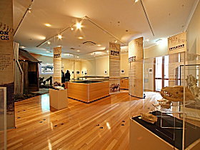 Tasmanian Tiger Exhibition - Accommodation Noosa 0