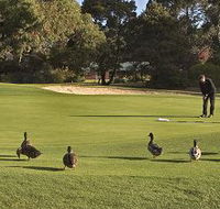 Royal Hobart Golf Club - Accommodation Noosa