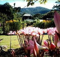 Blueberry Cottage Open Gardens - Accommodation Noosa