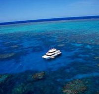 Norman Reef Dive Site - Accommodation Noosa
