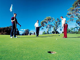Rosebery TAS Accommodation Noosa