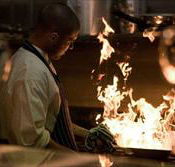 Ellacure - Accommodation Noosa