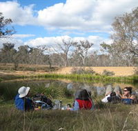 Canberra Nature Park - Accommodation Noosa