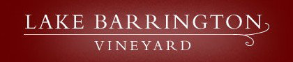 Lake Barrington Estate Vineyard - Accommodation Noosa 0