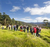 Apple Tree Park - Accommodation Noosa