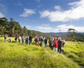Apple Tree Park - Accommodation Noosa 0