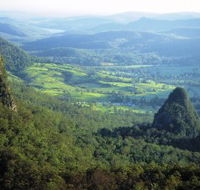 Springbrook Plateau Springbrook National Park - Accommodation Noosa