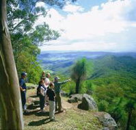Gold Coast Hinterland Great Walk - Accommodation Noosa