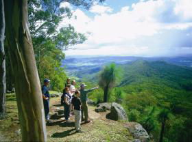 Gold Coast Hinterland Great Walk - Accommodation Noosa 0