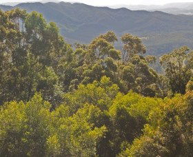  Accommodation Noosa