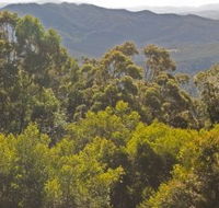 Conondale National Park - Accommodation Noosa