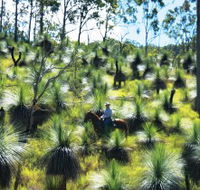 Bicentennial National Trail - Section 5 - Accommodation Noosa