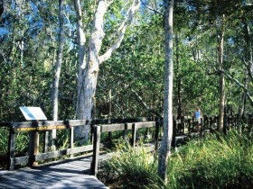 Kinaba Track - Accommodation Noosa 0