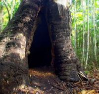 Tewantin National Park - Accommodation Noosa