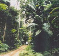 Conondale Great Walk - Accommodation Noosa