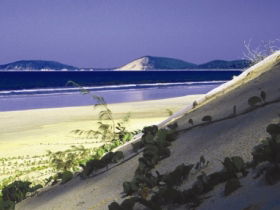 Cooloola, Great Sandy National Park - Accommodation Noosa 0