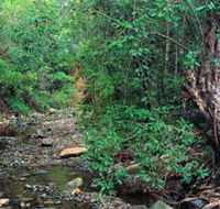 Mudlo National Park - Accommodation Noosa