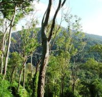 Smiths Track Barron Gorge National Park - Accommodation Noosa