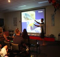 Reef Teach - Accommodation Noosa