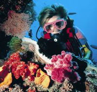 Osprey Reef - Accommodation Noosa