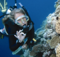 Moore Reef Dive Site - Accommodation Noosa