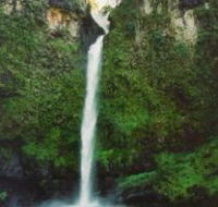 Nandroya Falls Circuit Track Wooroonooran National Park - Accommodation Noosa
