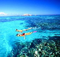 Northern Great Barrier Reef - Accommodation Noosa