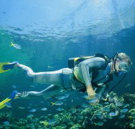 Tijou Reef - Accommodation Noosa