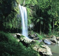 Curtis Falls Joalah Section - Accommodation Noosa