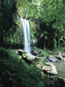 Curtis Falls, Joalah Section - Accommodation Noosa 0