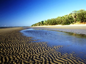 Kinkuna Section - Accommodation Noosa 0
