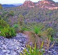 Isla Gorge National Park - Accommodation Noosa