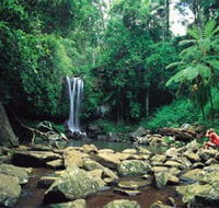 Tamborine National Park - Accommodation Noosa