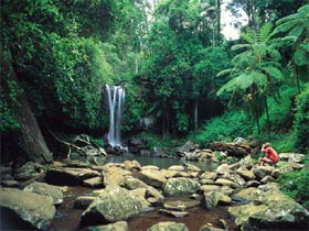 Tamborine National Park - Accommodation Noosa 0