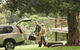 Great Bunya Drive - thumb 0