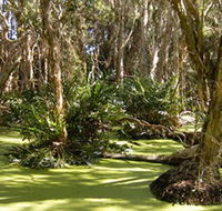 Arkarra Lagoons and Tea Gardens - Accommodation Noosa