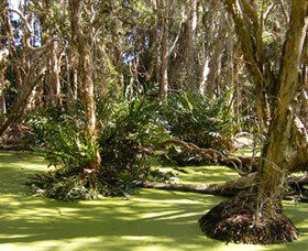 Arkarra Lagoons And Tea Gardens - Accommodation Noosa 0